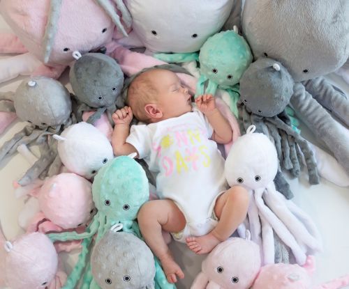 Cuddly octopus with rattle - fuchsia - polka dot minky